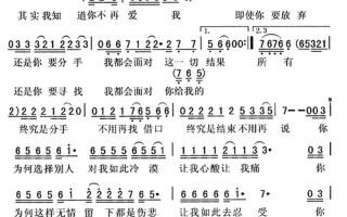 放弃你是我的错歌词