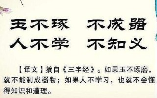 玉不琢不成器的下一句
