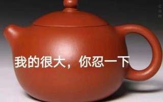 我太大了你忍一下是什么梗
