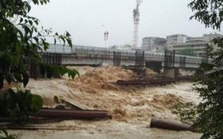 洪水过后为什么有瘟疫