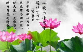 风光不与四时同的上一句