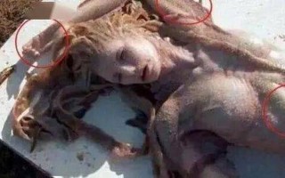 下水道的美人鱼恐怖图片敢看吗