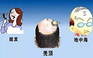 一个成年人每天掉多少根头发属于正常