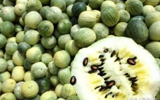 西瓜子的营养价值