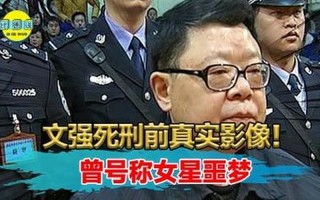 与文强有染的女星