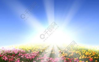 充满鲜花的世界到底在哪里