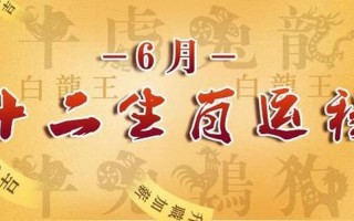 一落千丈指什么生肖