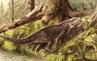 鳄鱼的祖先是什么