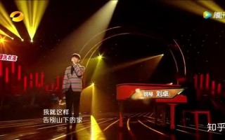 我是歌手杨宗纬流浪记