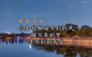 你是我触碰不到的风醒不来的梦