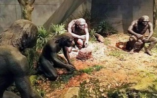 人类是怎么繁殖的动作