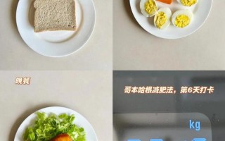 哥本哈根13日减肥法