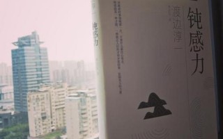 钝感力是什么意思