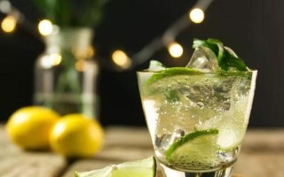 mojito是什么意思