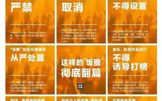 饭圈乱象什么意思