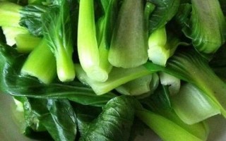 水煮青菜10天减肥10斤
