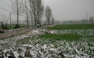 正月雷打雪有什么说法