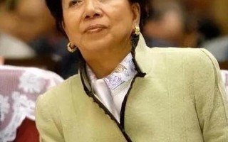 王健林是温的女婿