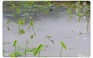 池上碧苔三四点的下一句