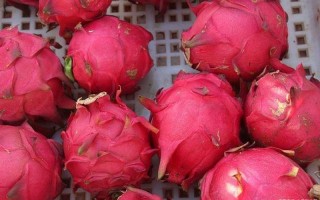 火龙果有几种颜色