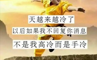 我迎着风撑着眼帘是什么歌