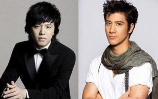 李云迪和王力宏怎么回事