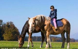 坐在有木棒的马鞍上难受