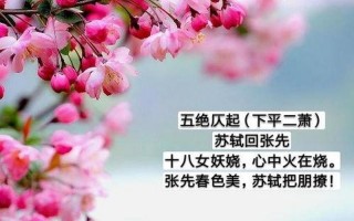 以下涉及梨花的诗句中