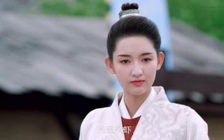 长安少年行沈蝶依身世