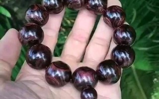 行家看门道的下一句