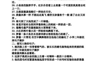 二年级用露写句子