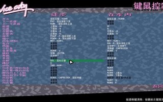 侠盗猎车开飞机秘籍