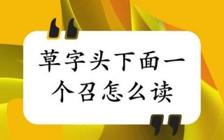 草字头一个官念什么字