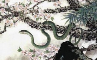 春花秋月是什么生肖