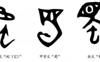 虚与委蛇的读音是什么