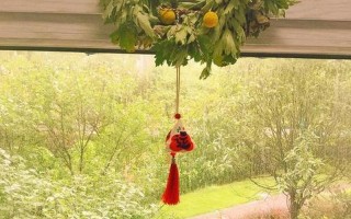 端午节艾草挂门口什么寓意