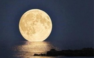 十五的月亮十六圆下一句怎么说