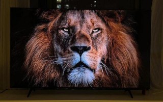 有什么好看的电视