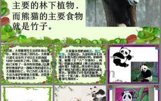大熊猫的资料完整介绍