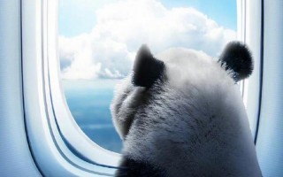 丫丫什么时候回国