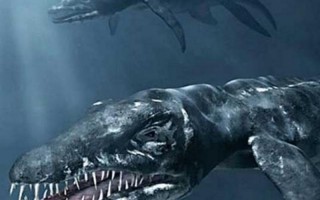 远古十大巨兽排名