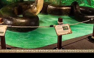 泰坦巨蟒还活着吗