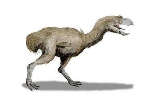 灭绝的十大恐怖动物