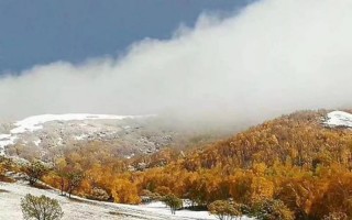 北京之一场冬雪为何这么早