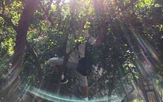 男女之间什么叫爬树