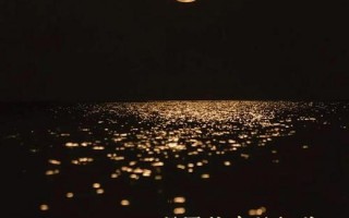 中秋节最火文案短句