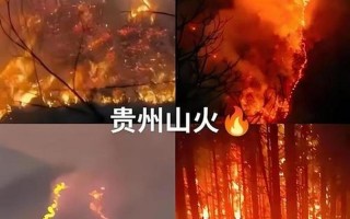 毕节疫情最新消息