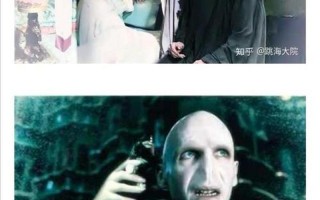 林黛玉伏地魔是什么梗