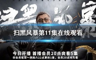 扫黑风暴在线观看天寒影视
