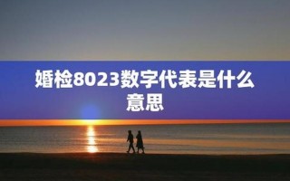 8023是什么意思 *** 用语
